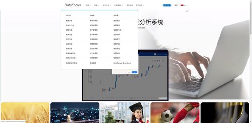 中國大數(shù)據(jù)與信息系統(tǒng)集成服務(wù)領(lǐng)域的領(lǐng)先企業(yè)概覽