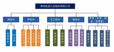 鉀肥巨頭陷債務(wù)危機(jī) 無力償還439萬元債務(wù)，被申請(qǐng)重整恐臨破產(chǎn)